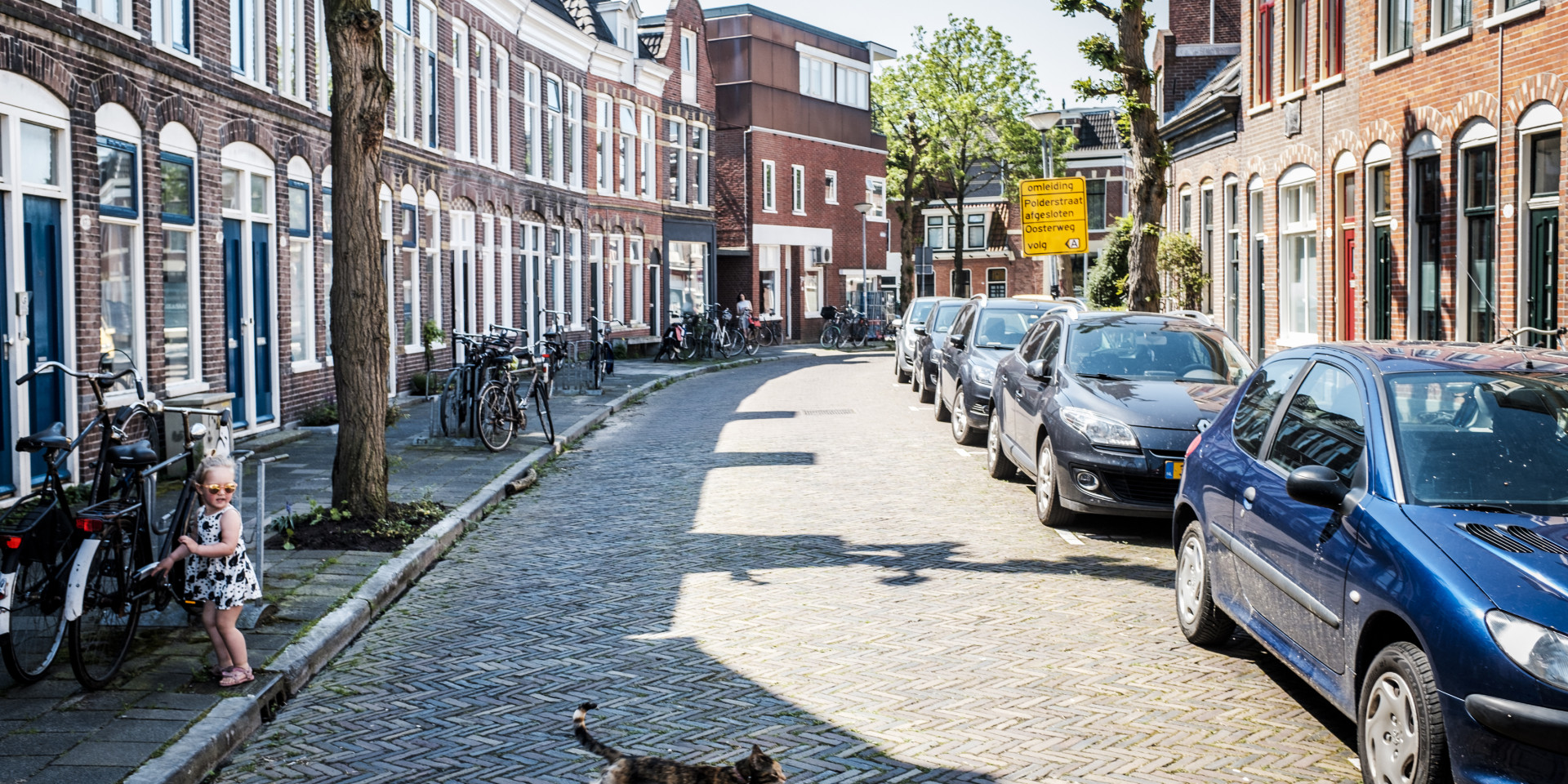 Een rustige straat met geparkeerde auto's, een kat die oversteekt en een kind aan de kant.